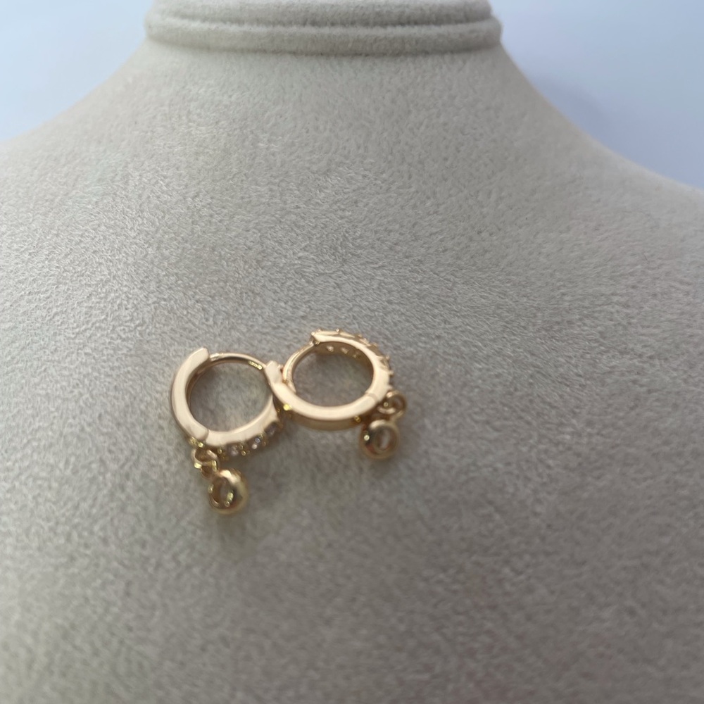 Elegant Gold Hoop Earrings